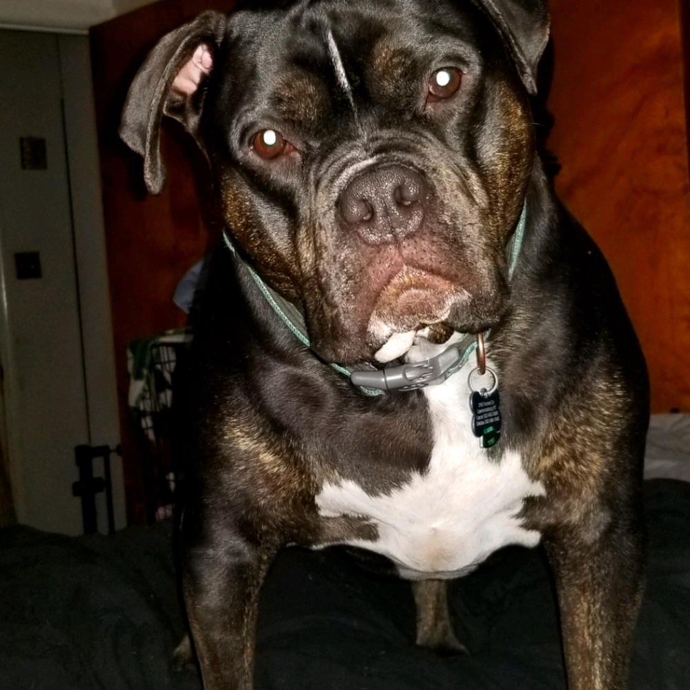 Meet your Posher, Laura